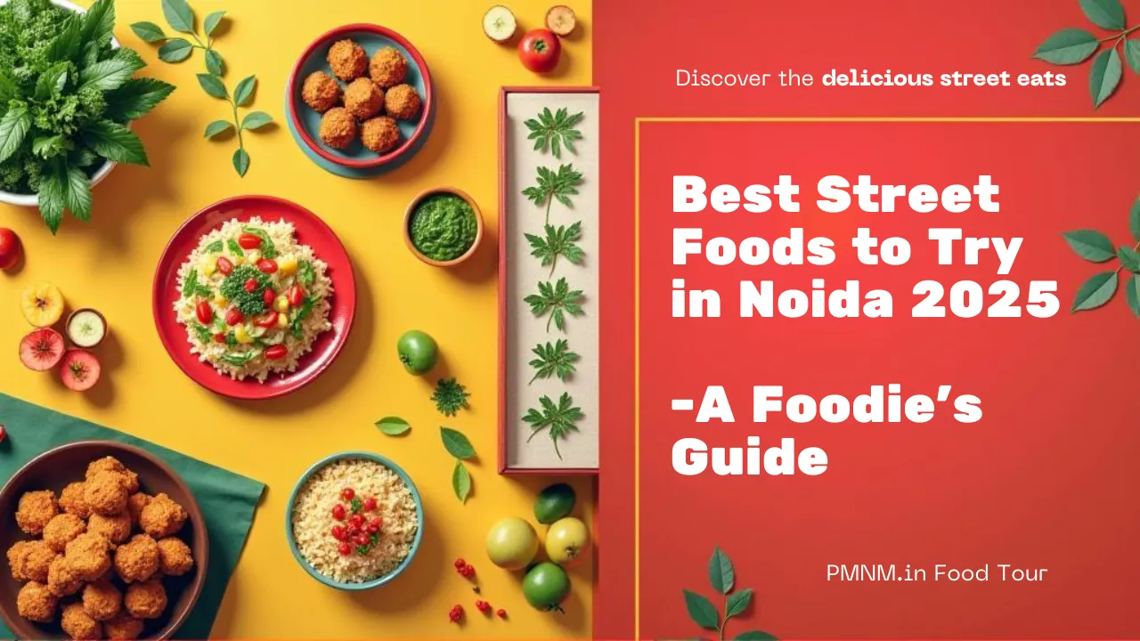 Best Street Foods to Try in Noida 2025