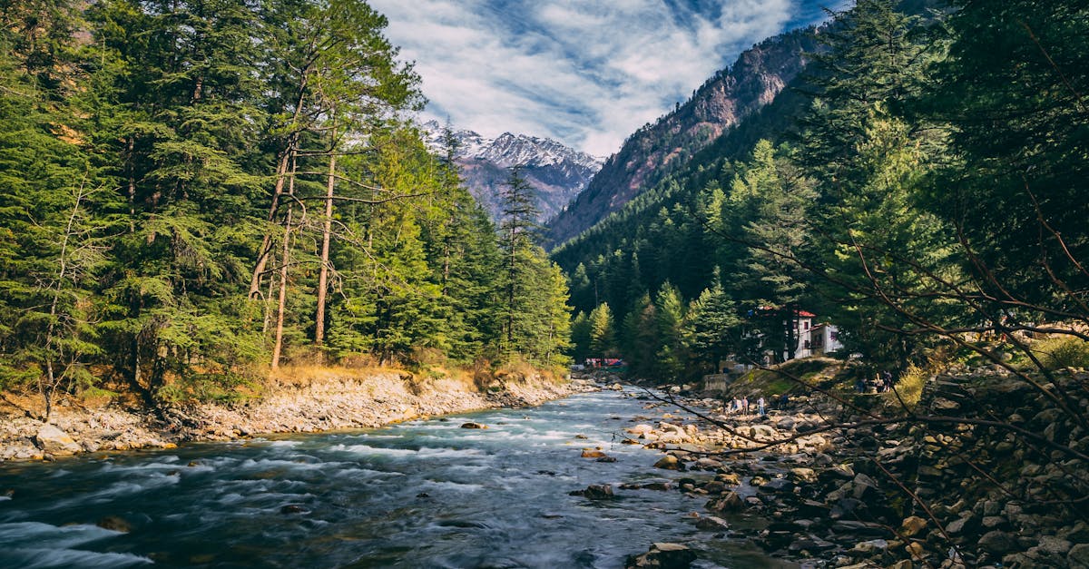 Beautiful landscape of river flowing through coniferous forest in Kasol, India with mountains in the background.