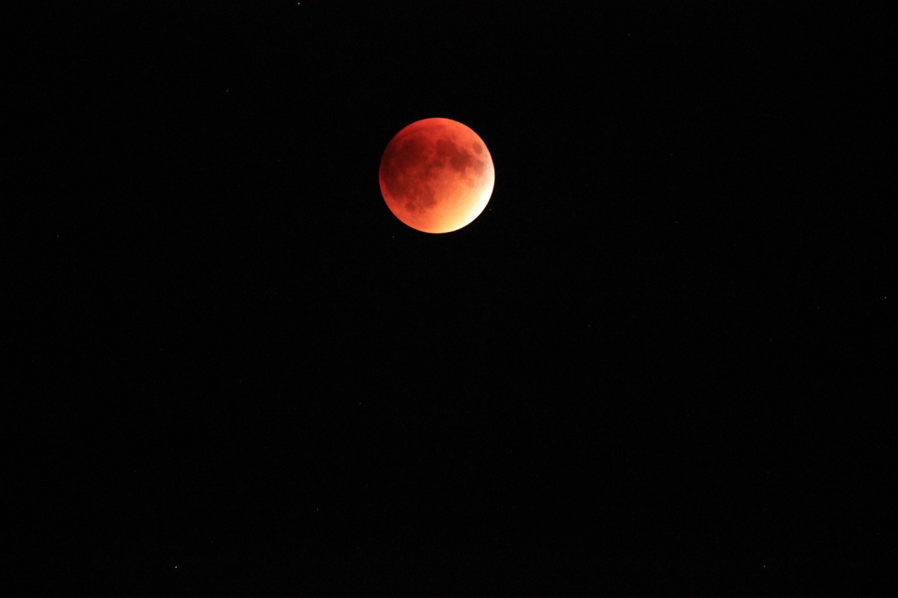 blood moon, moon, backdrop, night, galaxy, astronomy, space, planet, bloodmoon, black galaxy, black blood, black planet, bloodmoon, bloodmoon, bloodmoon, bloodmoon, bloodmoon