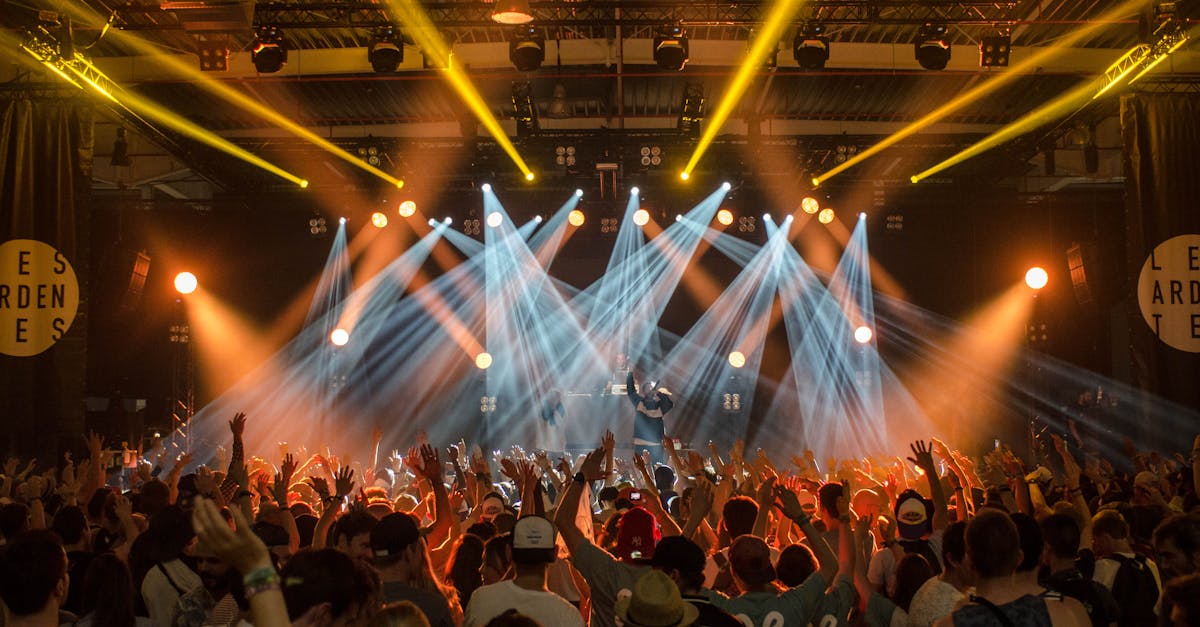 Energetic music concert scene with bright lights and a lively cheering crowd indoors.